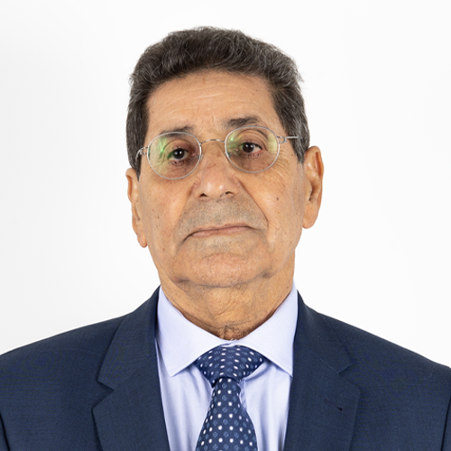 أ . عامر محمد عميش